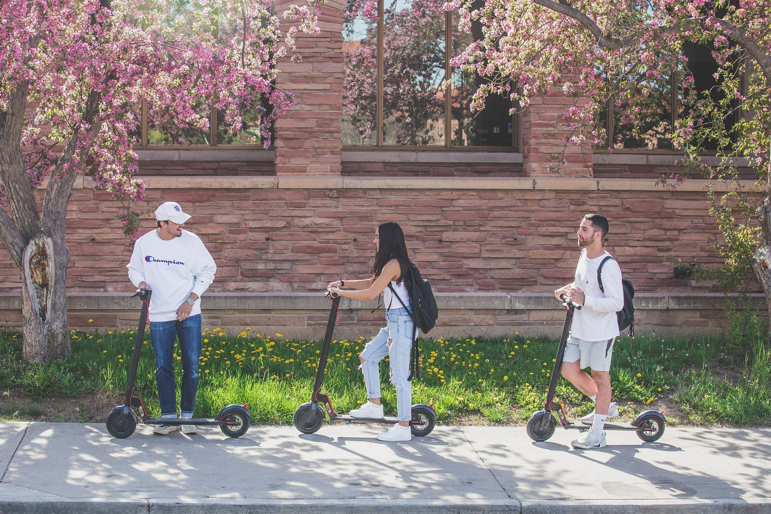 The Best Electric Scooters on Amazon – 2026