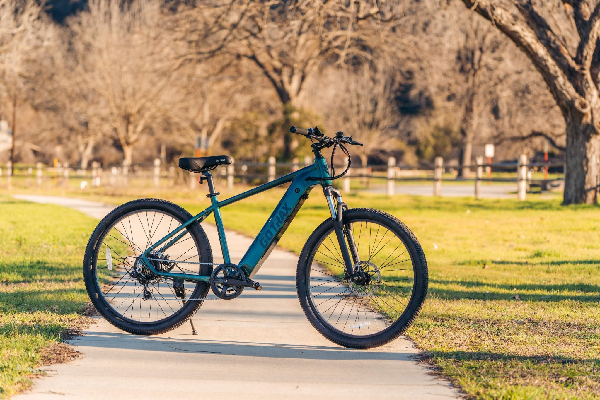 ELECTRIC × DRT / ROAD GLACIER Product Overview: The D1RT Electric Mountain Bike