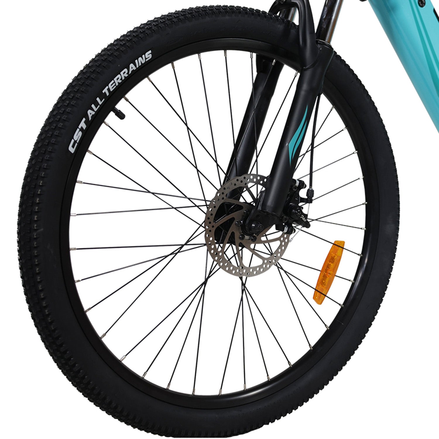 Electric Bike Driven Wheel Assembly