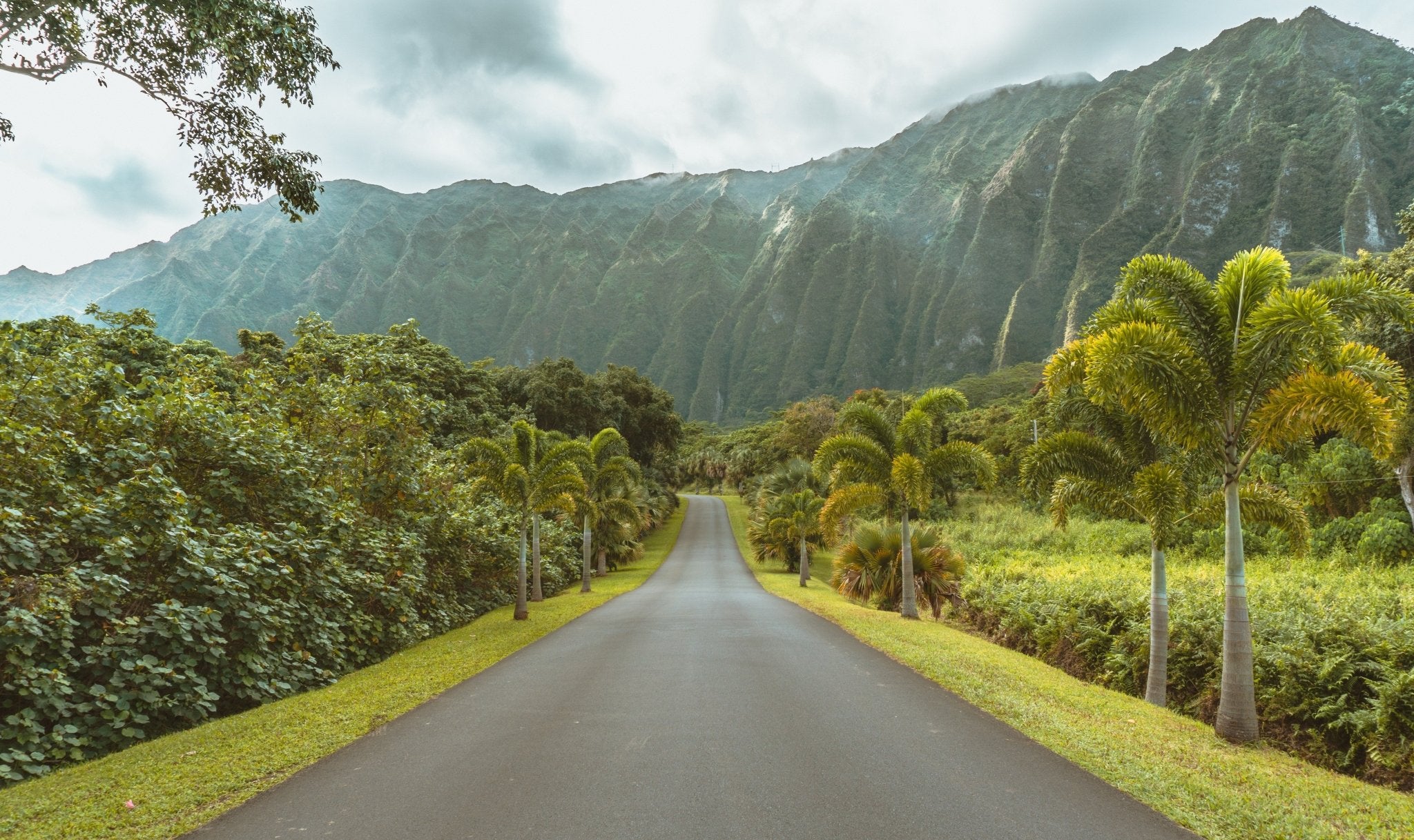 Hawaii Begins Electric Bike Rebate Program - GOTRAX