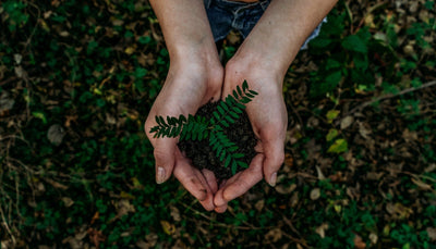 Reduce your Carbon Footprint with a Personal E.V.
