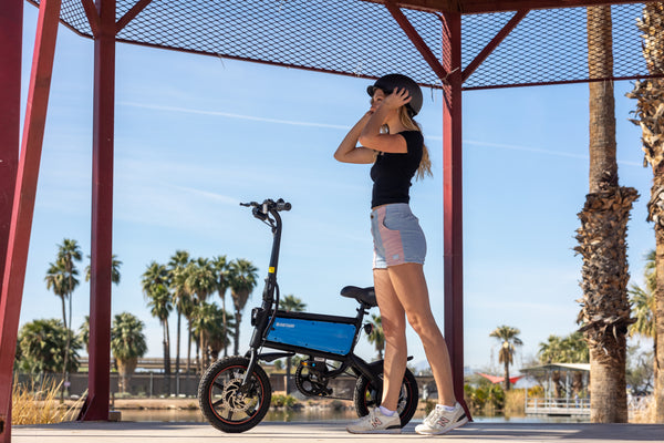 cargo tricycle bike