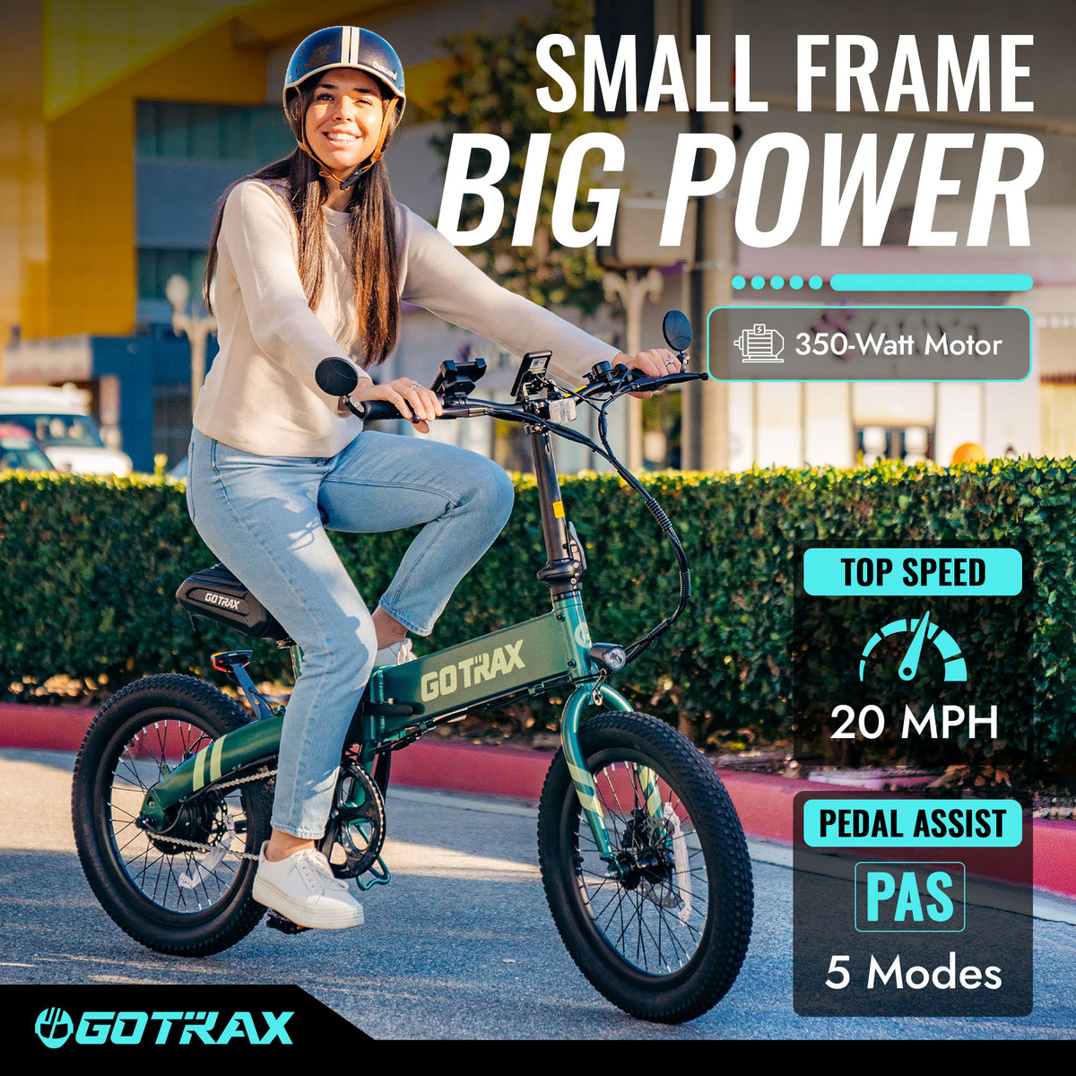F1 Folding Electric Bike 2.0