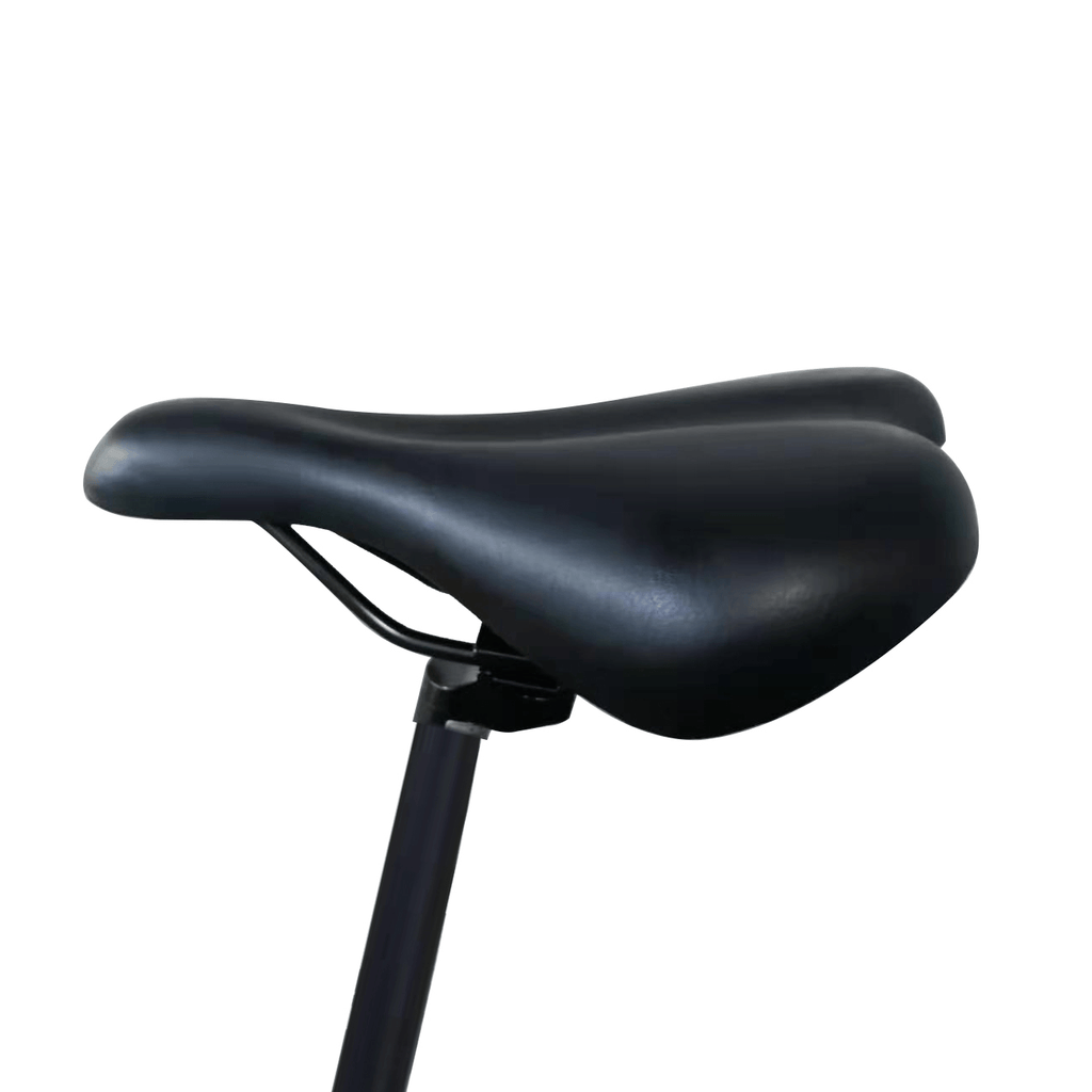 Electric Bike Seats
