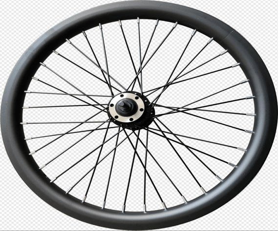 F1 / R1 / Z4 LITE Electric Bike Driven Wheel Assembly
