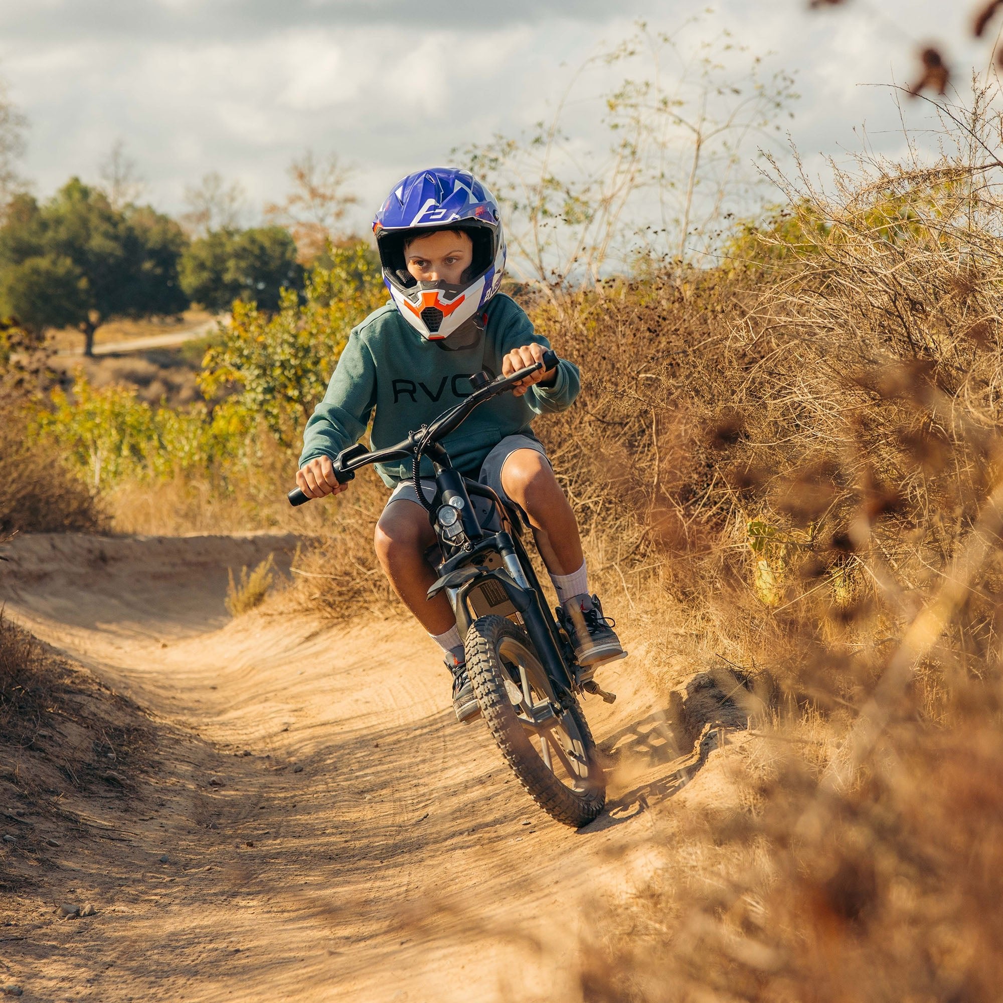 dirtbike mountainbike Fitz16 Electric Dirt Bike for Kids