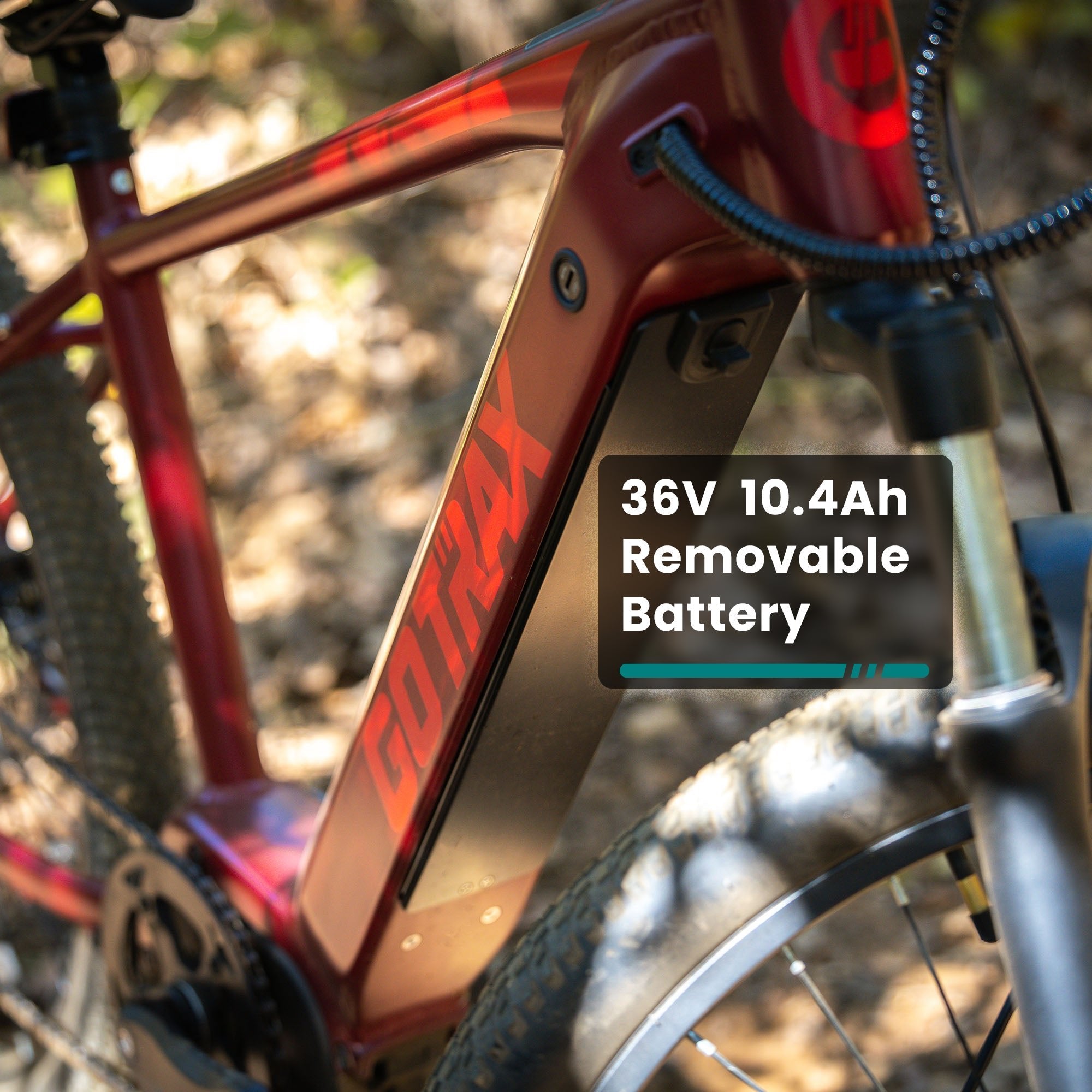 山/Mountain LEB ベータ L1NE Electric Mid Drive eMTB