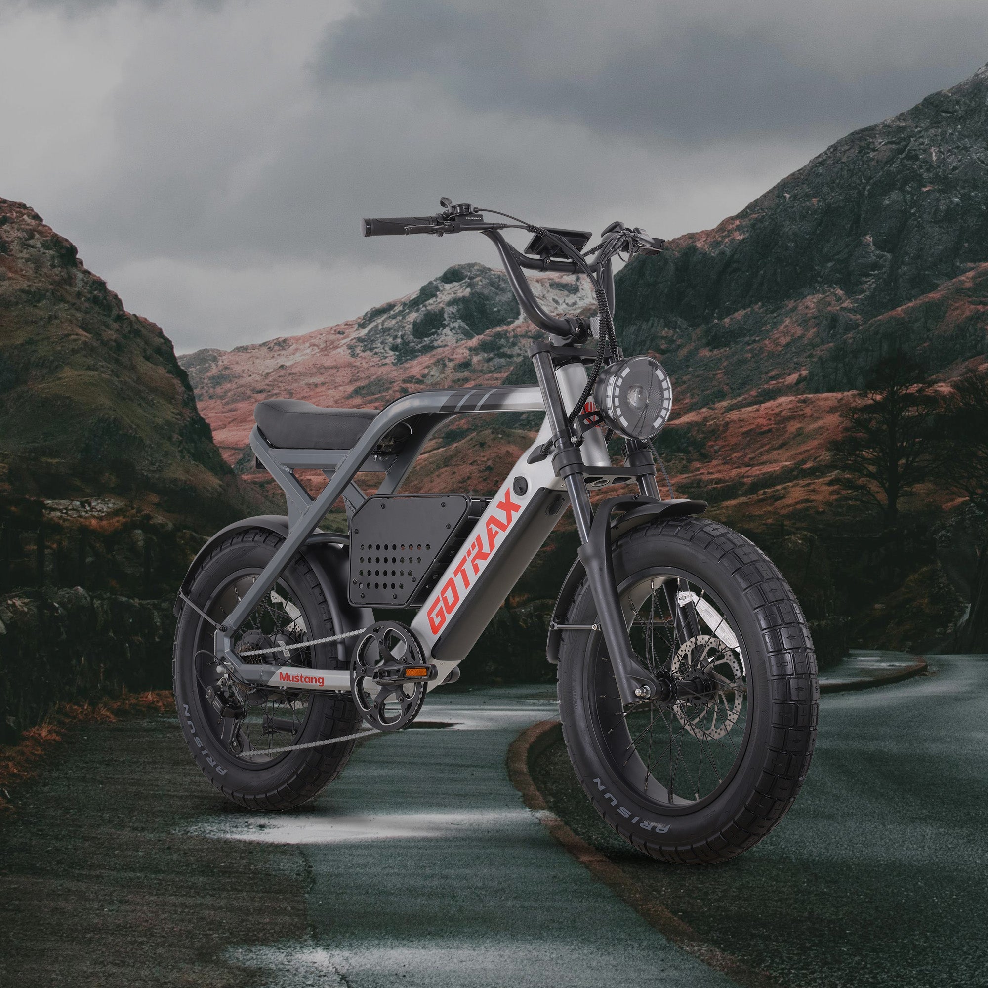 Mustang Electric Bike - GOTRAX