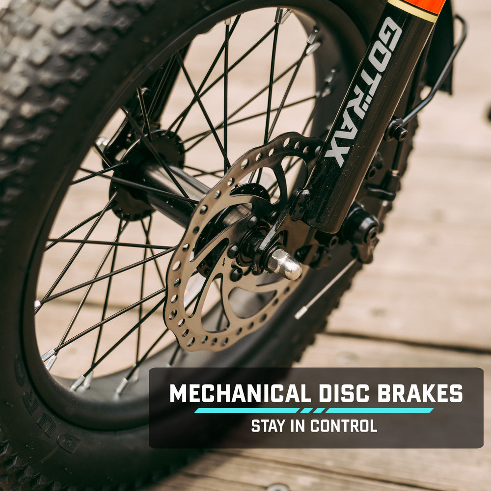 Gotrax Ranger 16 Fat Tire Electric Bike | 350W 20MPH | eBike for Teens ...