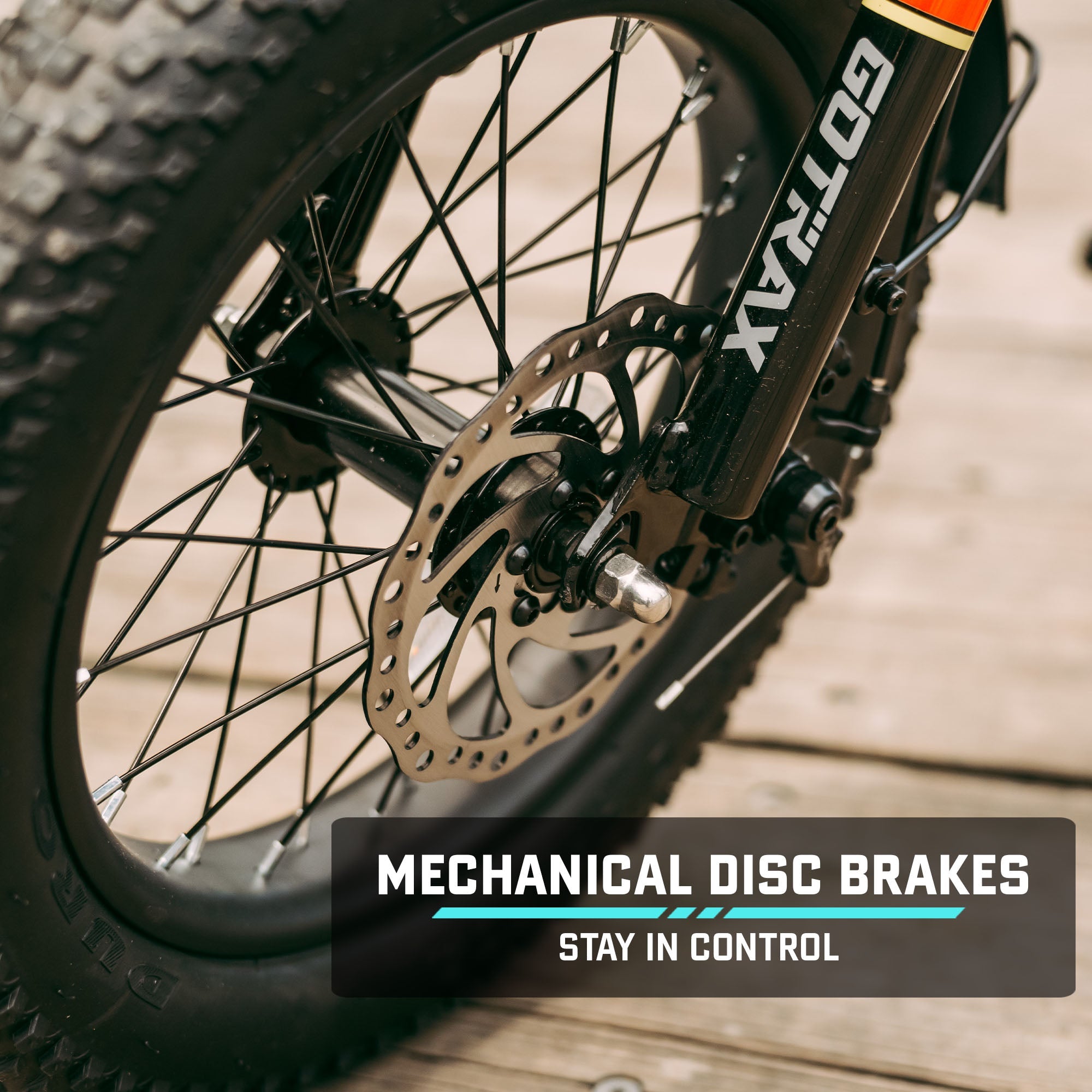 Ranger 16 Electric Bike - GOTRAX
