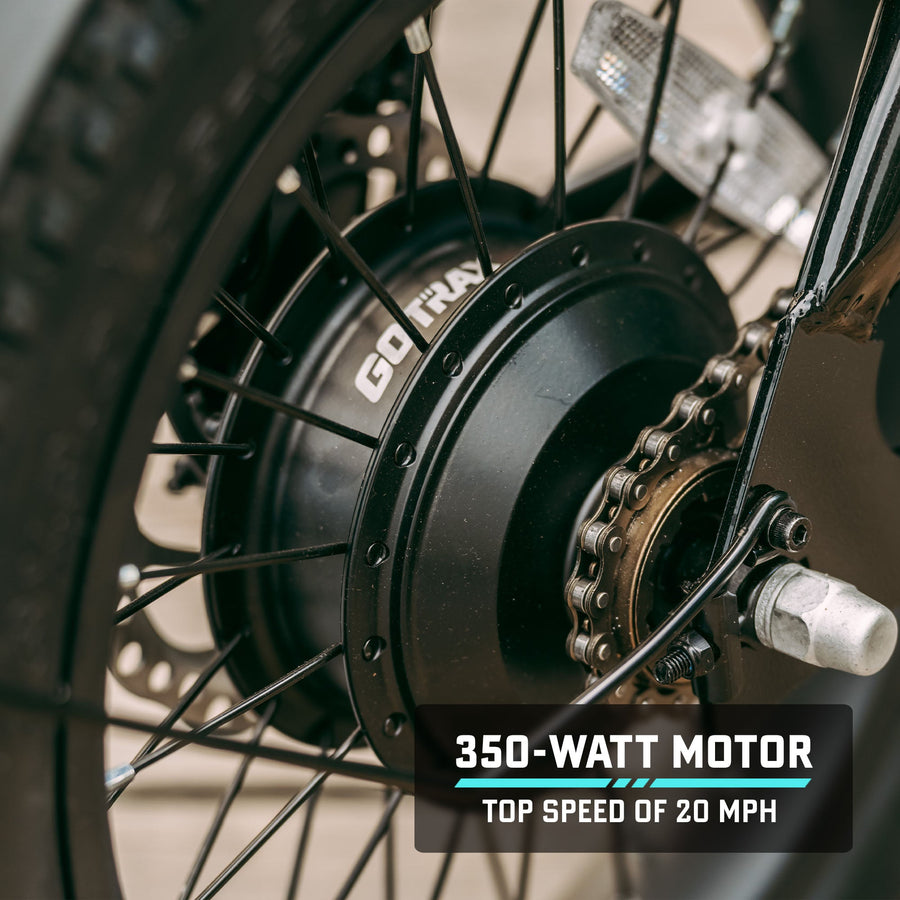 350 W rear hub motor