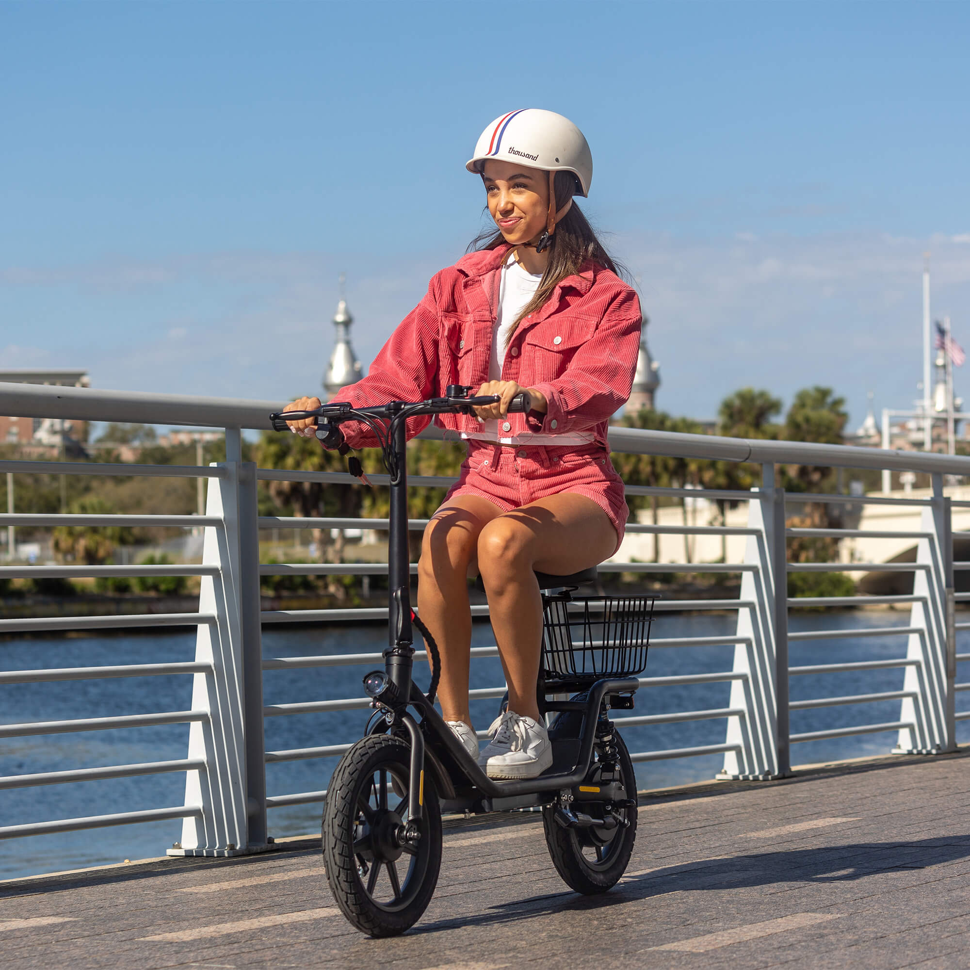 Flex Electric Scooter 